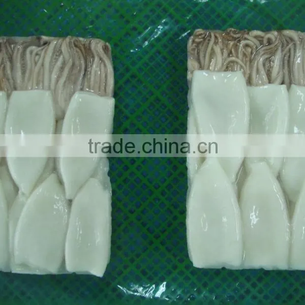Frozen Squid photo-3