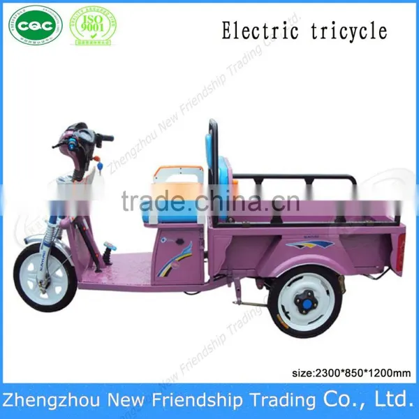 China Supplier Cheap Home 3 Wheel All Terrain Tricycle photo-2