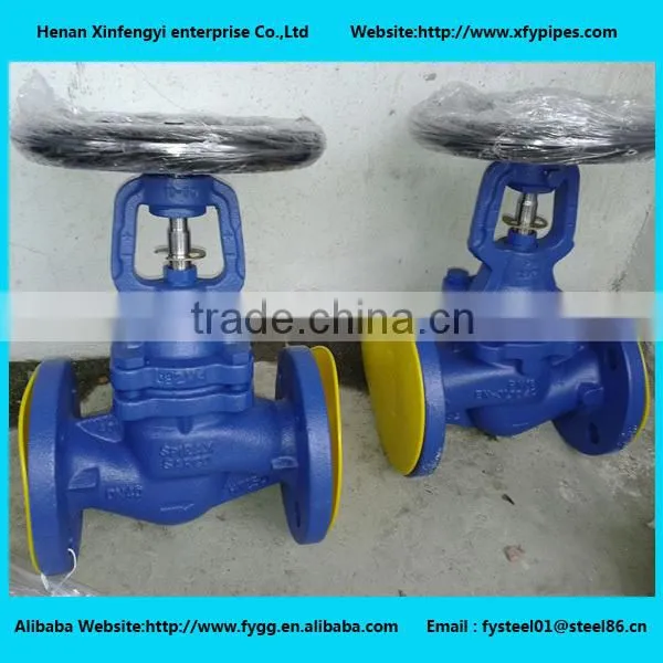 Dn200 Check Valve ANSI B16.36 photo-2