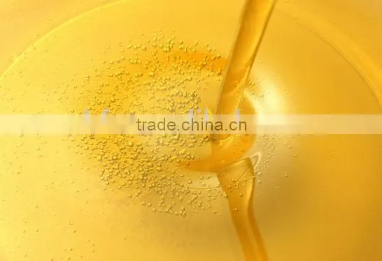 High Quality Cold Pressing Oil Press Machine/olive Oil Extraction Machine photo-4
