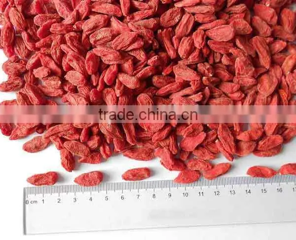 2016 New Crop From Ningxia Manufacture With Best Price photo-4