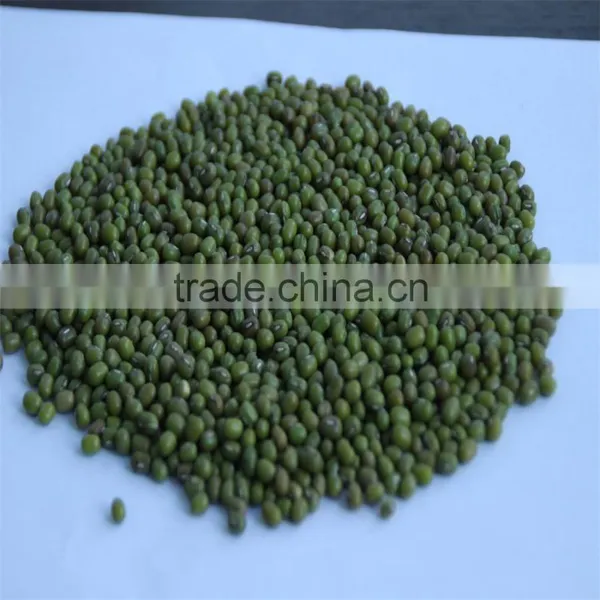 Top Quality Green Mung Beans photo-2