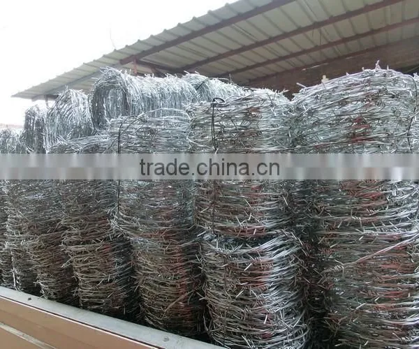 Galvanized Barbed Wire photo-4