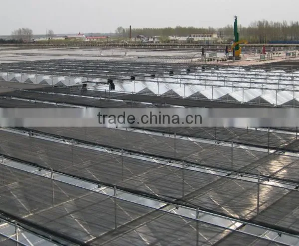 Growing Greenhouse photo-3