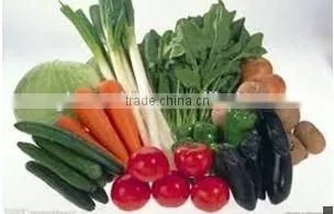 Industrial Vegetable and Fruit Carrot Dryer photo-4