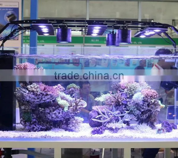 Hot Selling Programmable Full Spectrum Sunrise and Sunset Coral Reef Used Led Aquarium Light photo-5