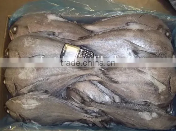 Frozen Brama Fillet,Skinless &PBO & 20%Glazing photo-3