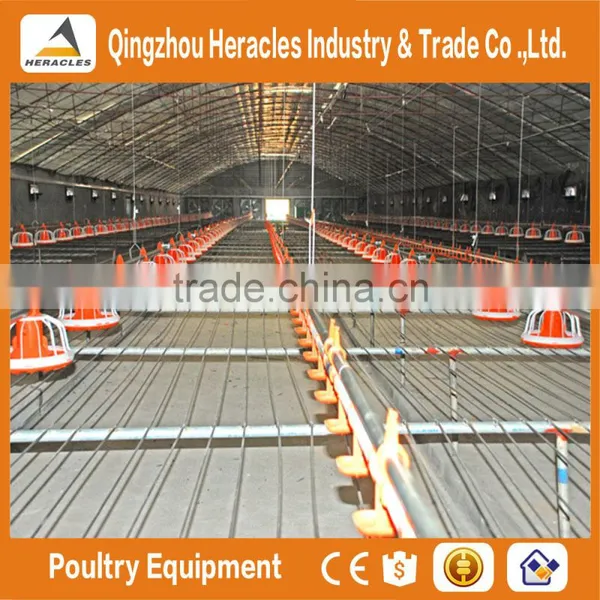 Factory Hight Quality Galvanized Poultry Farm Materials on Sale photo-2
