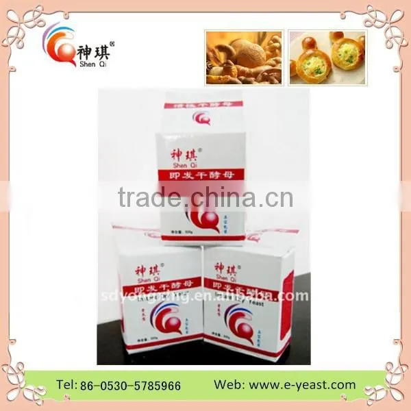 China Instant Yeast Supplier With Cheap Price per Ton photo-5