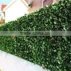 Garden Decoration Fence Plastic Outdoor Fence Artificial Boxwood Hedges photo-4
