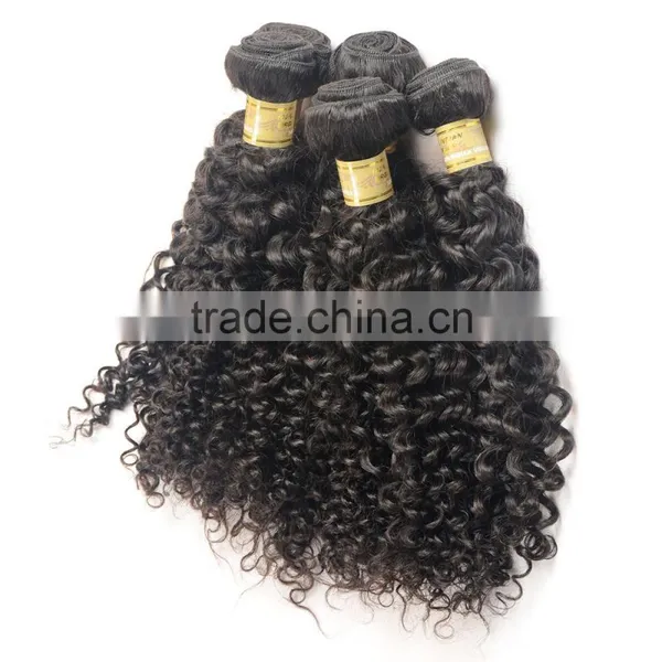 Fast Delivery Online Shop 100% Unprocessed Wholesale Tangle Free No Shedding Curly Raw Virgin Indian Hair photo-5