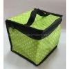 Polyester Ice Cooler Bag