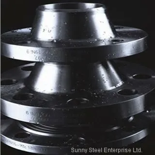 Socket Welding Flanges, SW Flange photo-4