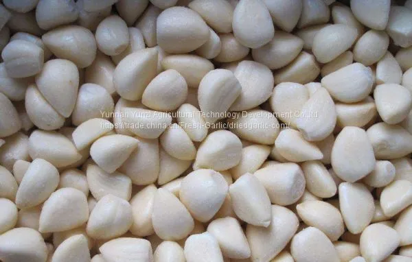 Garlic Clove photo-2