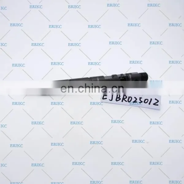ERIKC EJBR02501Z Original Diesel 2501Z Common Rail Injector EJB R02501Z photo-3