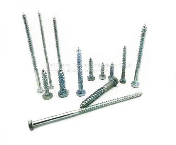 Wood Screw Carbon Steel Wood Screw DIN Wood Screw for Sale photo-3
