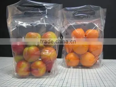 Clear LDPE Chinese Plastic Freezer Bag for Fruit Package With Holes photo-3