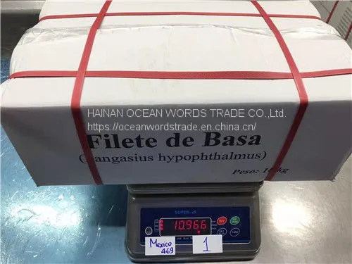 Frozen Pangasius Fillets, (pangasius Hypophthalmus) , Filete De Basa, Basa Rojo, Blanco photo-3