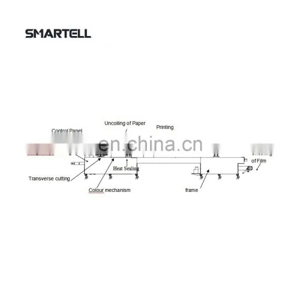Syringe Production Line Automatic Film Bag Packaging Label Machine photo-2