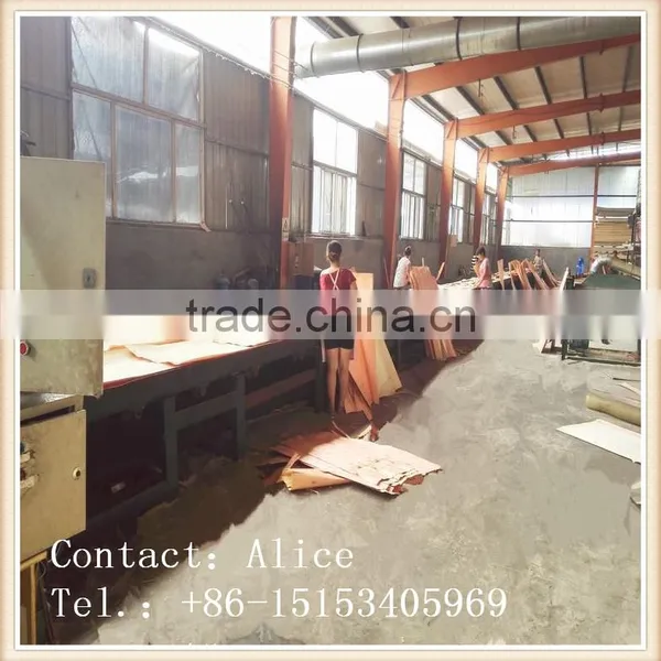 SCAFFOLD LAMINATED VENEER BOARD /SCAFFOLD BOARD photo-5