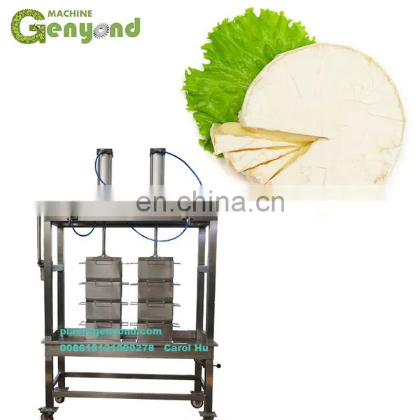 Factory Hot Sale Pneumatic Cheese Molding Machine photo-3