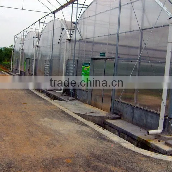 Side 8mm Poly Carbonate Greenhouse photo-2