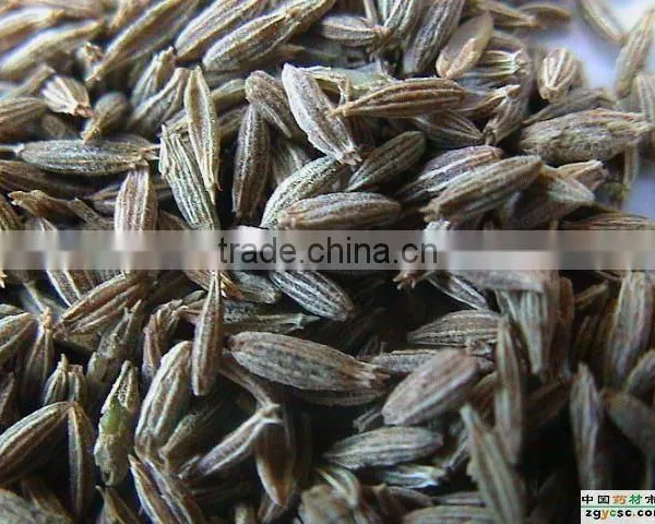 Cumin Seeds