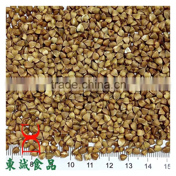 Roasted Buckwheat Organice Grains Wholesale