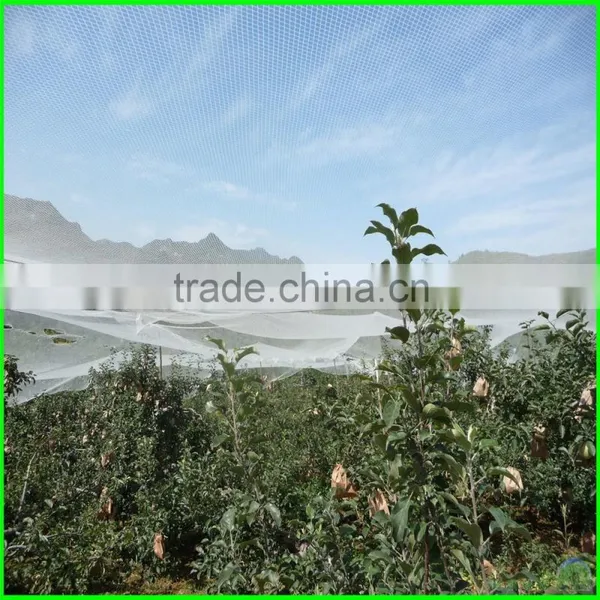 HDPE Anti Hail Protection Net Apple Tree Net photo-2