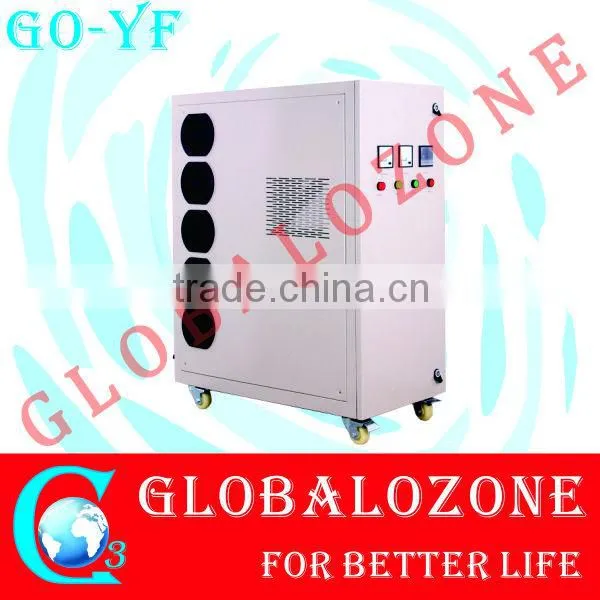 Guangzhou Ozone Manufacturer High Concentration Ozone Generator for Greenhouse Treatment