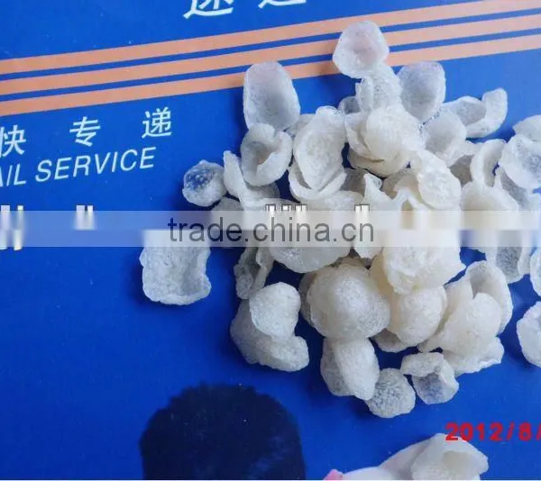 Large Capacity Automaic Modified Starch Extruder/Processing Machines photo-4