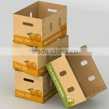 Corrugated Carton Box for Frozen Fruit Vegetable Packaging photo-2