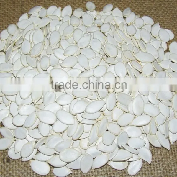 PUMPKIN SEED/SHINE SKIN PUMPKIN SEED photo-2