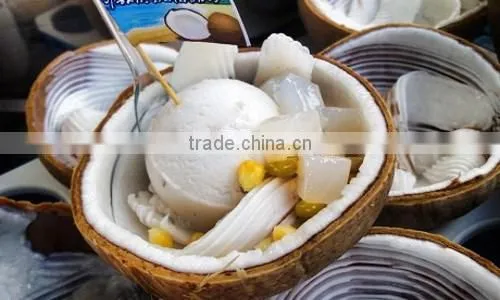 Coconut Milk Powder Min 60% Fat photo-2
