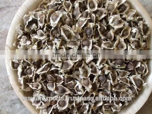 Best Supplier for Drumstick Seed photo-5