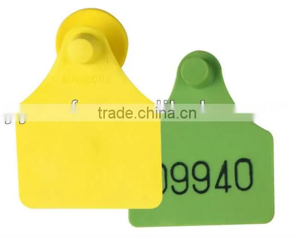 Brand New Large Size Ear Tag for Wholesales photo-4