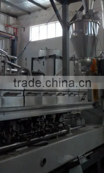 Twin Screw Extruder