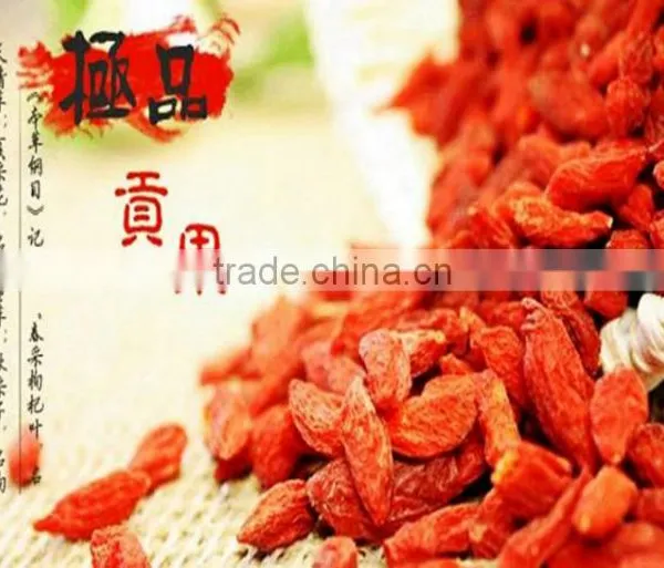ISO 9001 Goji Berry photo-4