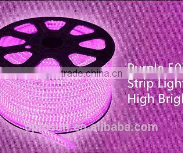DIY LED Rope Light 110-220V IP67 Multiple Color LED Strip Light photo-3