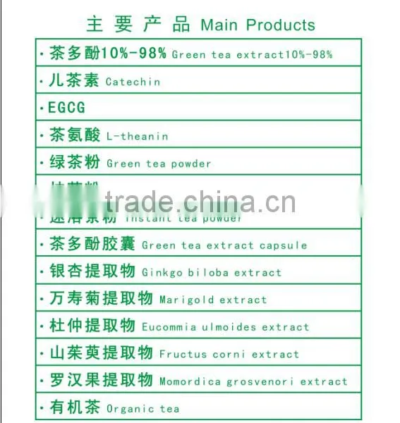 GMP Manufacture Supply Top Quality Green Tea Extract 95% Macha Powder photo-4