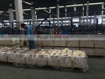 High Quality 3 Phase Asynchronous Motors photo-2