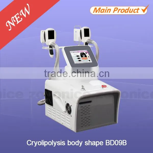 BD09B Cryolipolysis Fat Freeze Fat Refuction Beauty Equipment