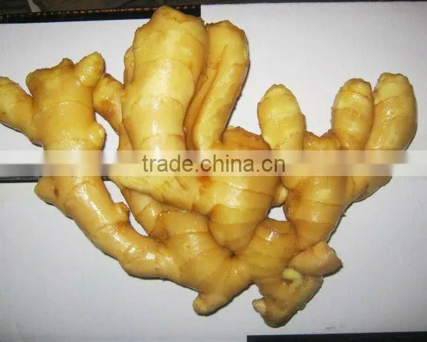 2017 Fresh Ginger photo-2