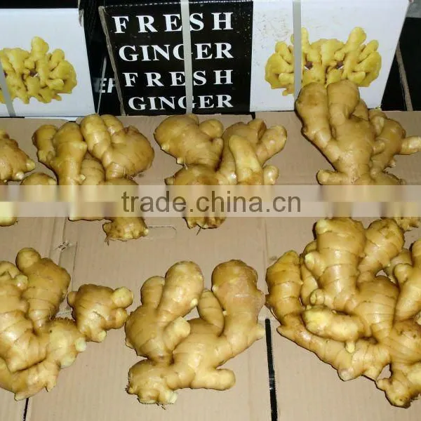 2017 Fresh Ginger photo-4
