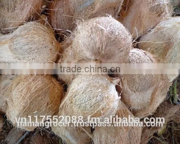 Semi Husked Mature Coconut