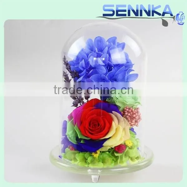 2016 Natural Preserved Flowers preserved Roses fres flower in Glass