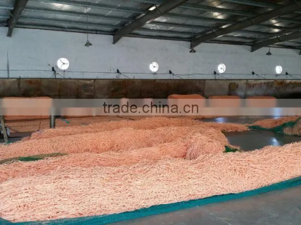 Chinese pe Fishing Net photo-4