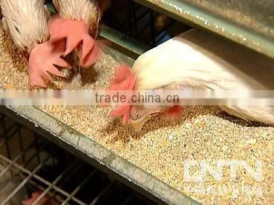 HJ 100-150kg/h Professional Industrial Automatic Animal Feed Pellet Machine HJ-N150B photo-4