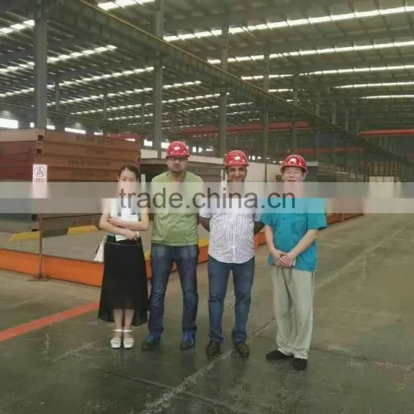 Electrical Truck Scale/ Weighbridge in High Quality for Sale photo-4
