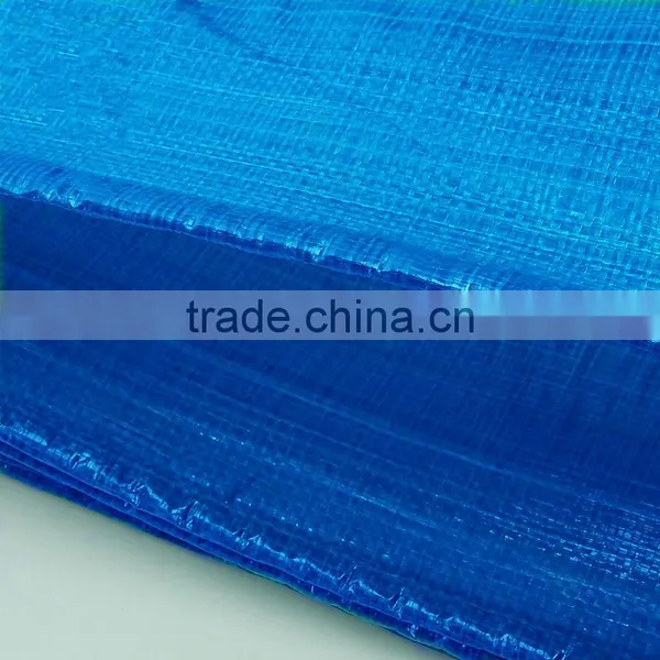 100% Virgin Korea pe Flexible Plastic Transparent Mesh Tarpaulin With Low Price photo-2